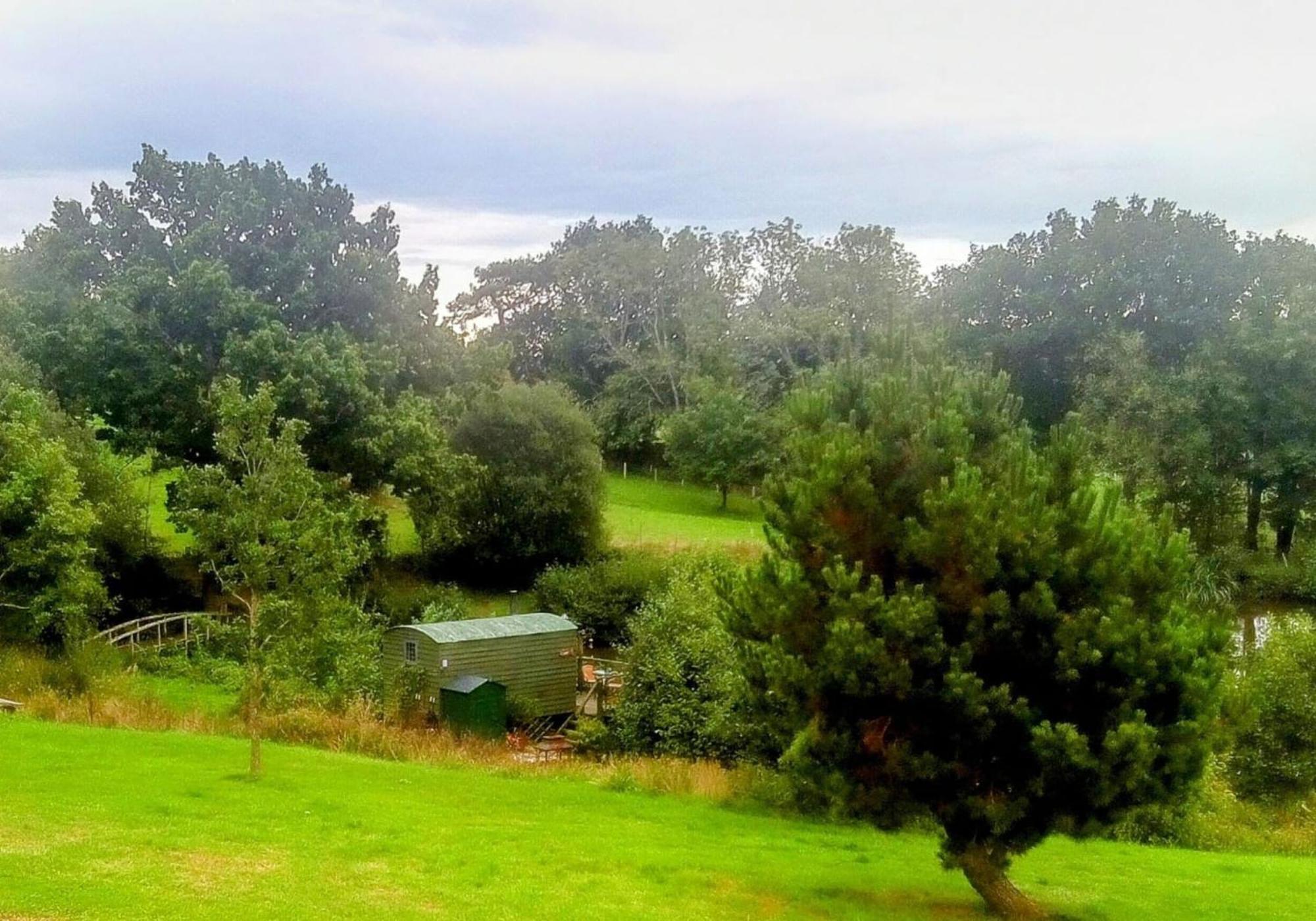 Snug & Secluded Lakeside Shepherds Hut 'Carp' 阿克菲尔德 外观 照片